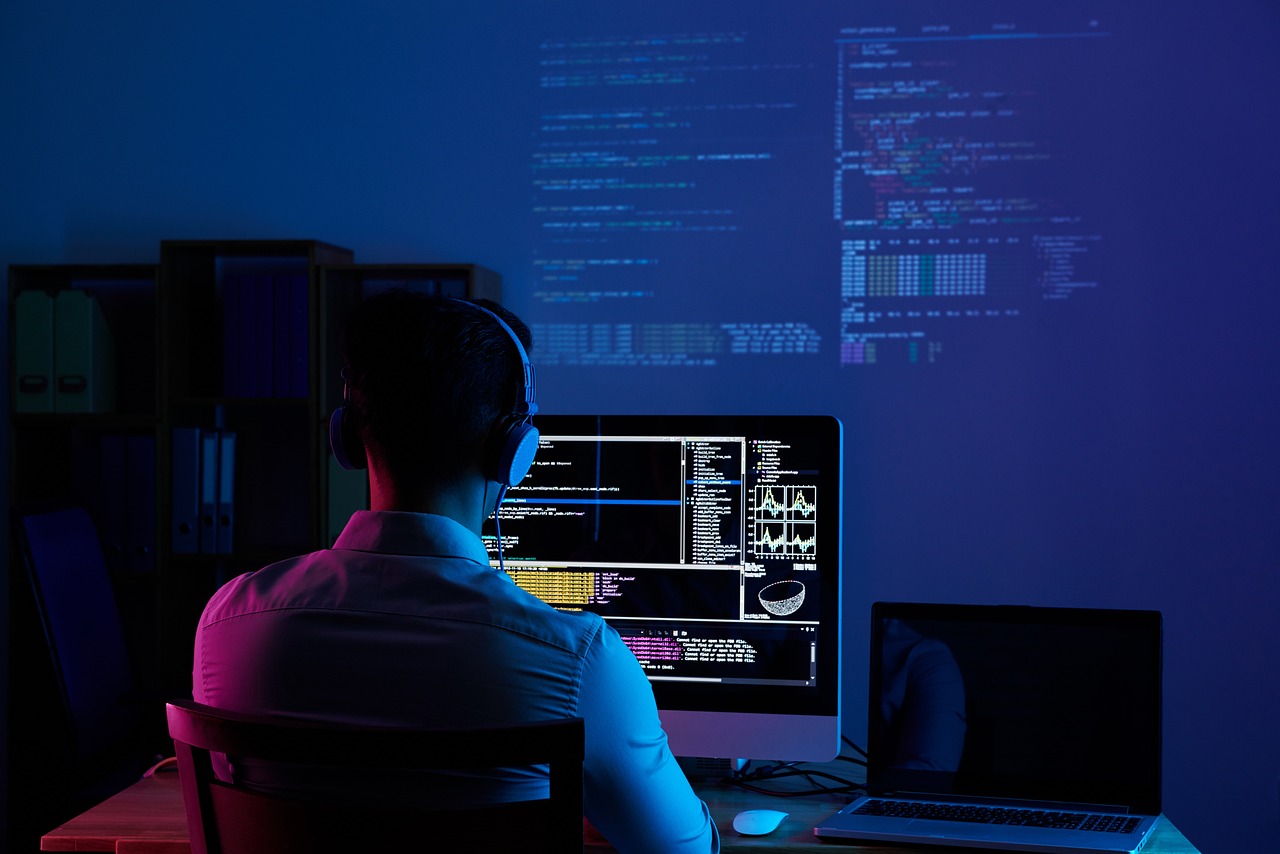 software-developer-web-developer-programmer